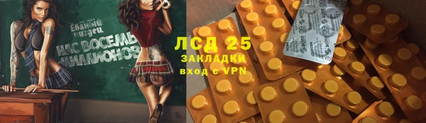 стафф Алзамай