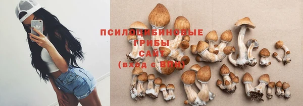 стафф Алзамай