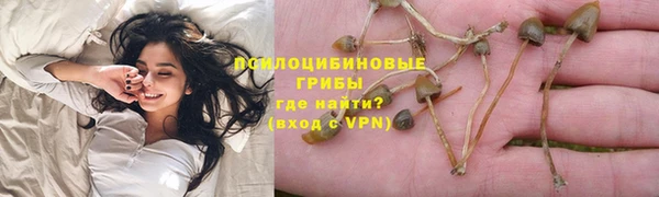 не бодяженный Алексин