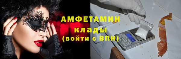 стафф Алзамай