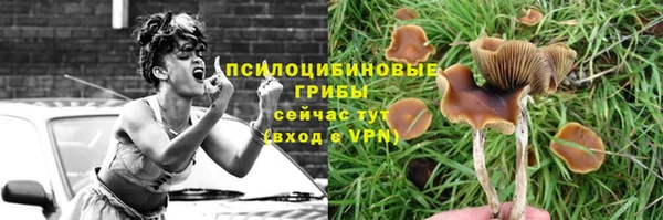 спиды Абдулино