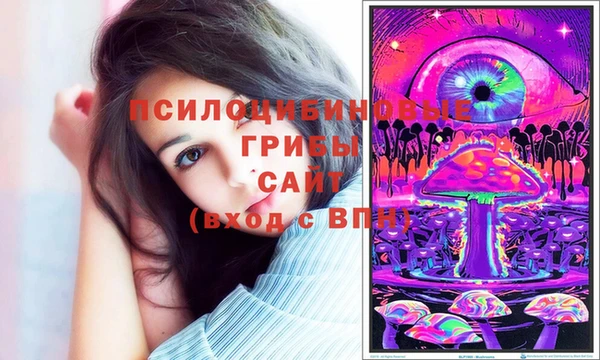 стафф Алзамай