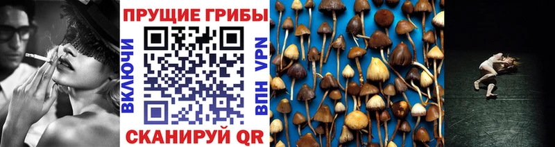 Галлюциногенные грибы Psilocybe  darknet формула  Константиновск 